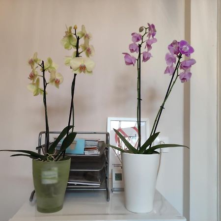 Falk Miksa Apartment Budapest Ngoại thất bức ảnh