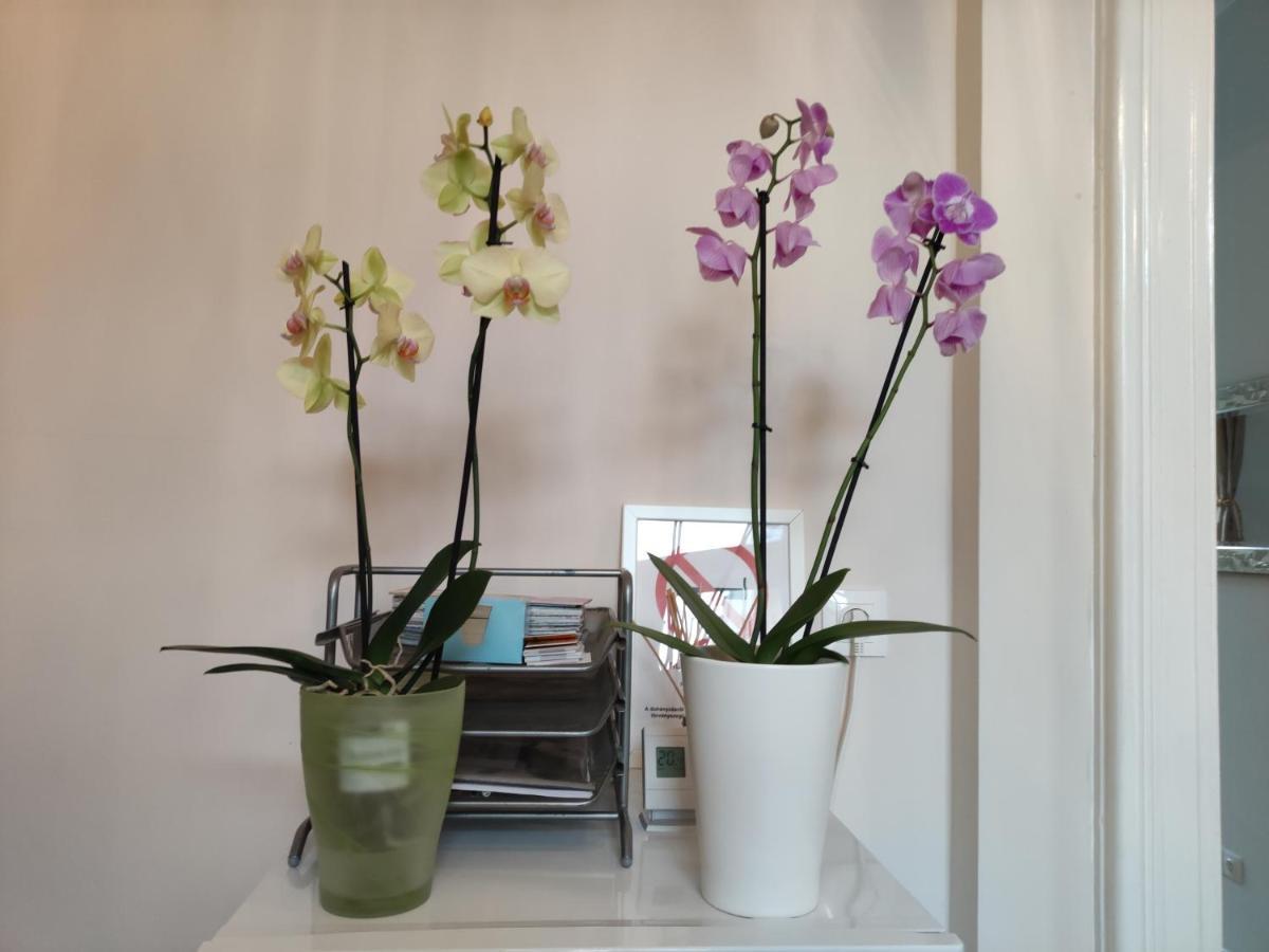 Falk Miksa Apartment Budapest Ngoại thất bức ảnh